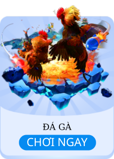 đá gà 888top