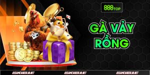 Gà Vảy Rồng: Đặc Điểm, Đòn Lối Và Bí Kíp Soi Kèo Chuẩn